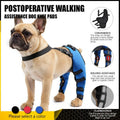 Dog Rear Leg Support Brace for Senior Dogs – Post-Surgery Recovery & Walking Assistance