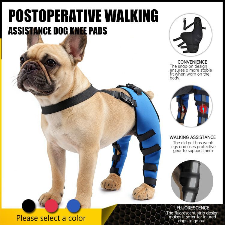 Dog Rear Leg Support Brace for Senior Dogs – Post-Surgery Recovery & Walking Assistance