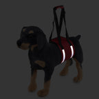 UTONPET Portable Dog Lift Assist Strap, Pet Support Carry Belt, Auxiliary Walking Harness for Puppies to Climb Stairs