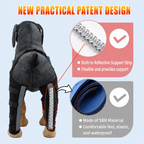 Dog Rear Leg Support Brace for Senior Dogs – Post-Surgery Recovery & Walking Assistance