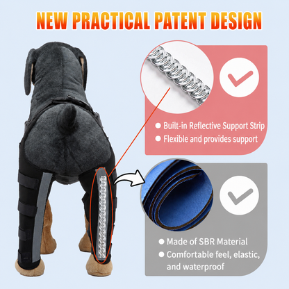Dog Rear Leg Support Brace for Senior Dogs – Post-Surgery Recovery & Walking Assistance（副本）