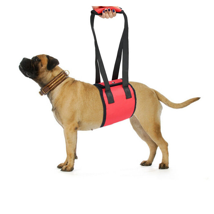 UTONPET Portable Dog Lift Assist Strap, Pet Support Carry Belt, Auxiliary Walking Harness for Puppies to Climb Stairs