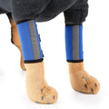 UTONPET Pet Double Front Leg Knee Protector, Recovery Support Brace for Injured Medium Large Dogs