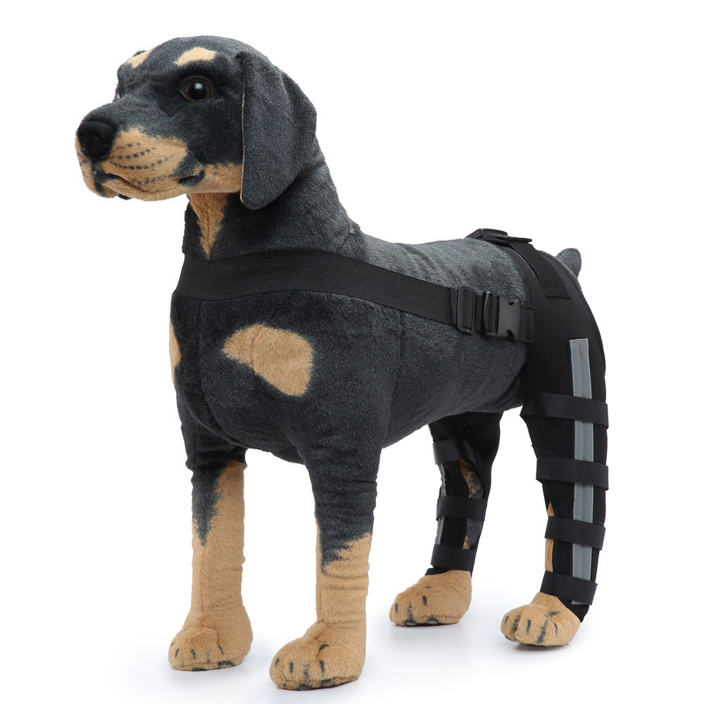Dog Rear Leg Support Brace for Senior Dogs – Post-Surgery Recovery & Walking Assistance（副本）